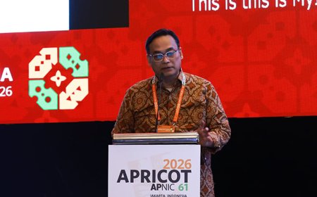 NIR updates at APRICOT 2026: IPv6 progress, RPKI plans, and strengthening coordination