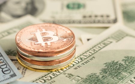 SEC submits guidance on crypto regulation to the White House