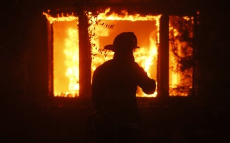 LA Times: Some Firefighters Knew the Lachman Fire Wasn't Out