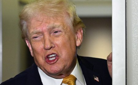 Borderline Personality Trump and the Uses of Press Myopia
