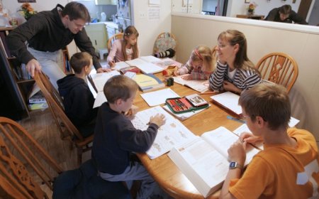 What's the Point of Sending Kids to School?