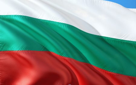Bulgaria becomes first country to deploy a national AI model across a tax authority