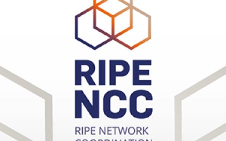 Selected Fellows Announced for RIPE 92 and RIPE 93