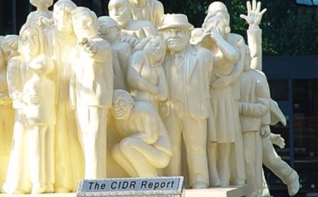 The why and what of the CIDR Report