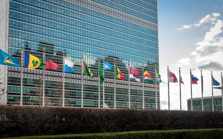 UN launches Global Mechanism on ICT security, elects chair for 2026–2027