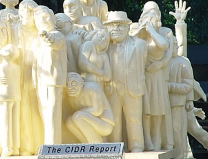 The why and what of the CIDR Report