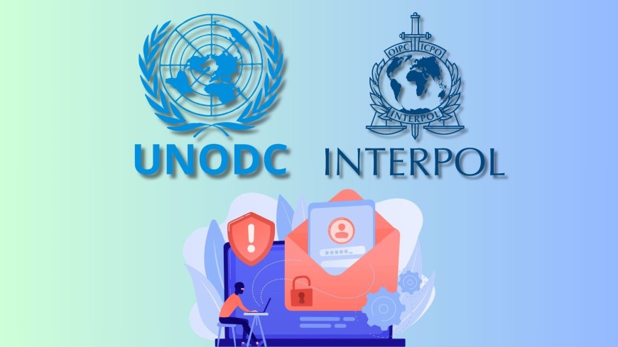 UN calls for global action against online scam networks