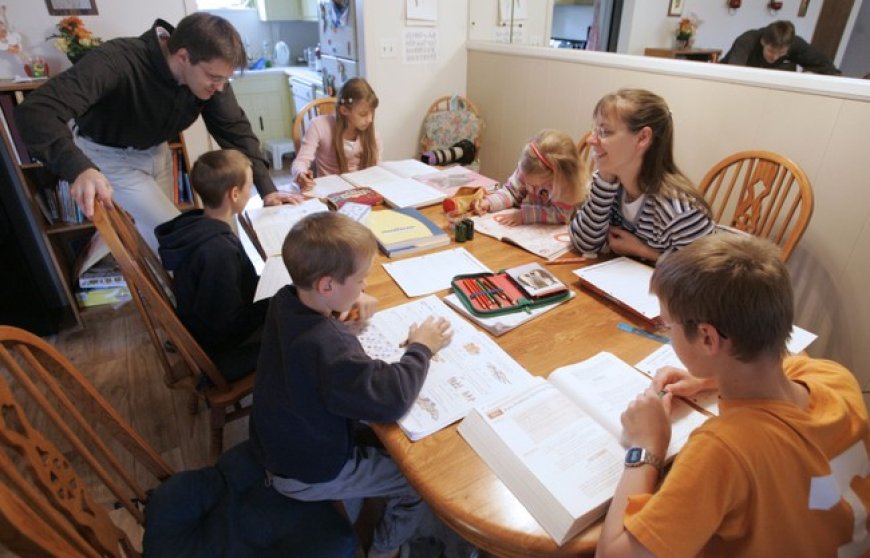 What's the Point of Sending Kids to School?