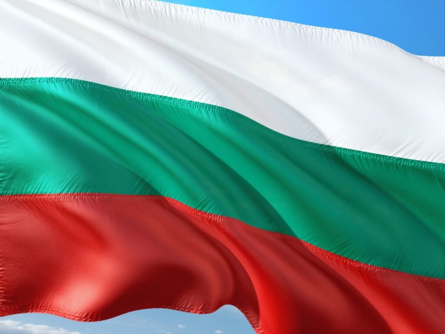 Bulgaria becomes first country to deploy a national AI model across a tax authority