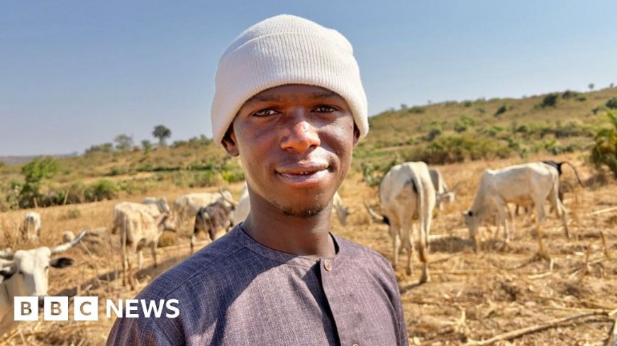 'Peace is a gradual thing': How land, cattle and identity fuel a deadly Nigerian conflict