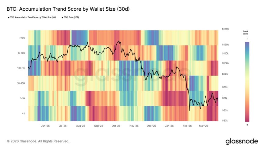 Retail investors drive widespread bitcoin selling as prices fall