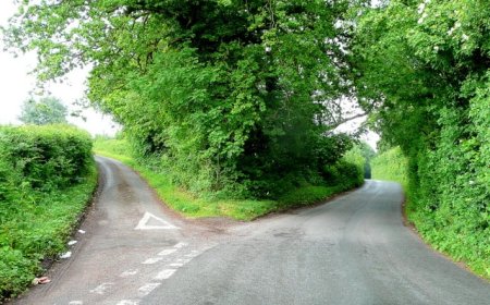 [Podcast] What does ‘BCP’ really mean?