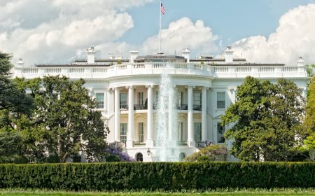 US launches Permitting Innovators programme to modernise federal review systems