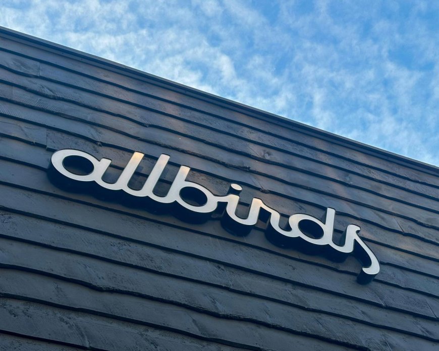 Allbirds abandons sneakers in pivot to AI computing, shares surge 400%
