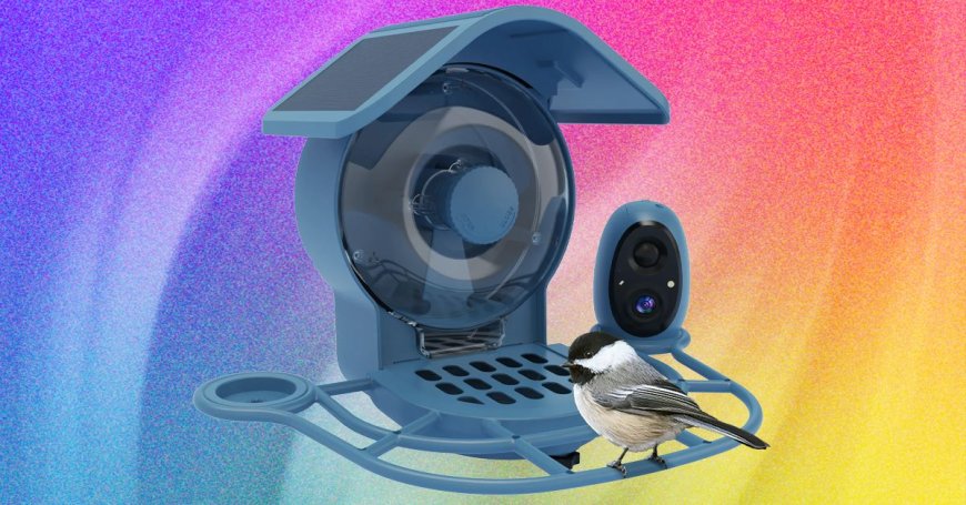 Coolfly Aura Review: More Angles, Fewer Advantages