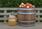 [Podcast] CIDR inside