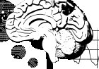 Beyond code generation: rethinking engineering productivity in the age of AI agents