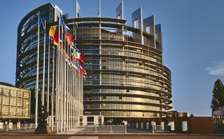 MEPs consider stronger EU measures on cyberbullying and online harassment