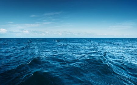 Panthalassa raises $140m to develop wave-powered AI computing