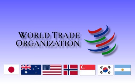 WTO members form duty-free pact after e-commerce moratorium lapses