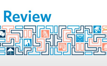 RIR Governance Document Version 2: Status Report May 2026 now available