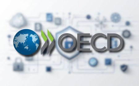 OECD warns on cybersecurity regulation fragmentation