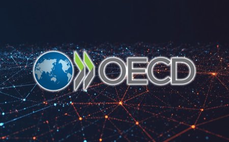 OECD examines local conditions for trustworthy AI transition