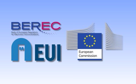 Digital Networks Act debate heads to Florence