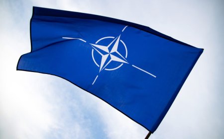 NATO formalises cyber partnerships with Microsoft, Palo Alto Networks and ESET