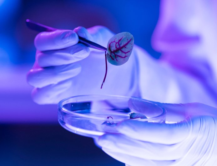 New research initiative targets biology with quantum computing and AI
