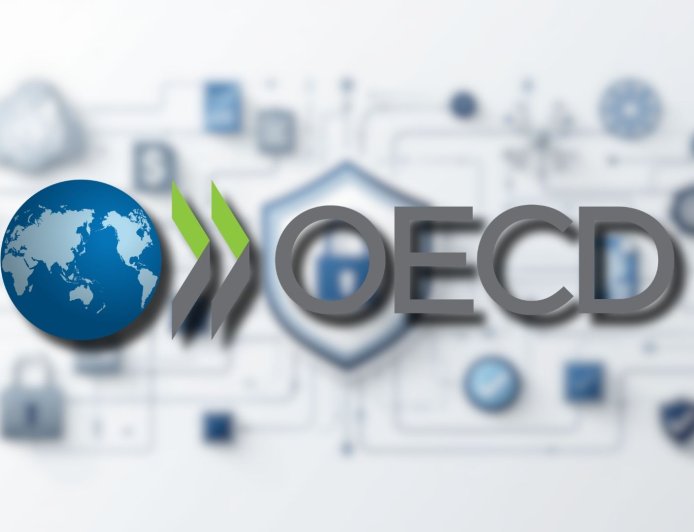 OECD warns on cybersecurity regulation fragmentation