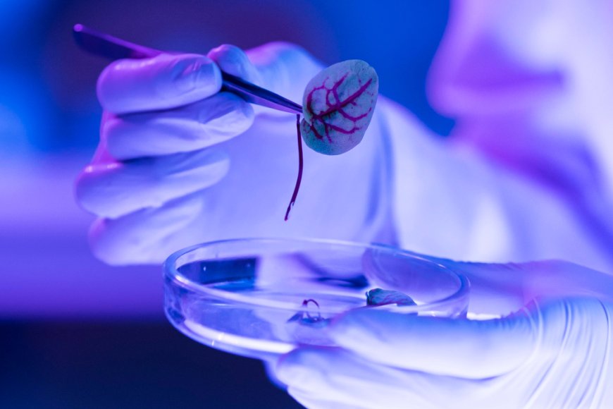 New research initiative targets biology with quantum computing and AI
