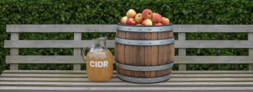 [Podcast] CIDR inside