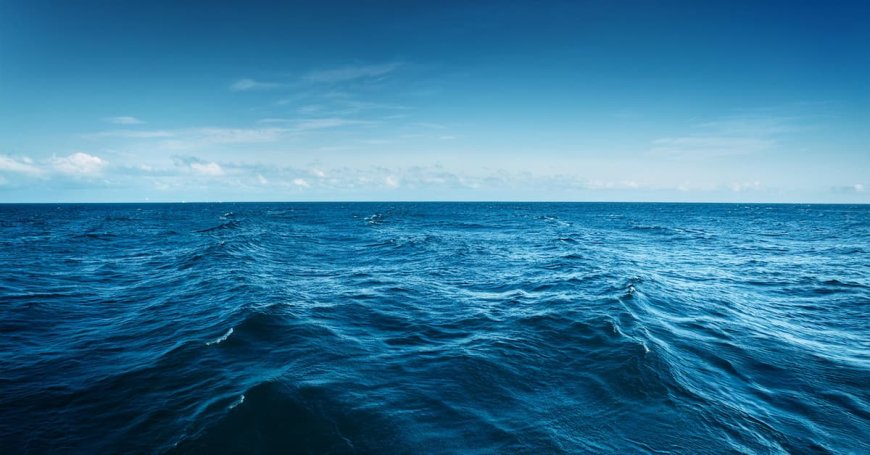 Panthalassa raises $140m to develop wave-powered AI computing
