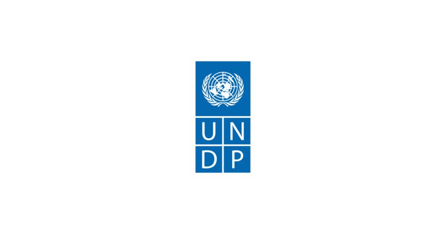 UNDP supports AI training for Tajikistan parliament members