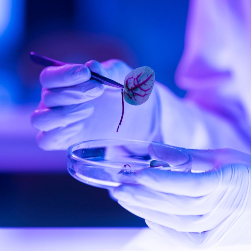New research initiative targets biology with quantum computing and AI