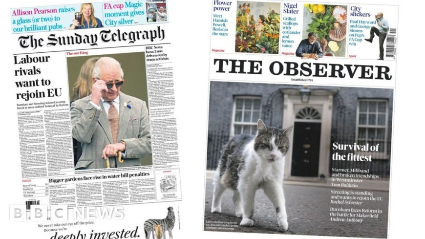 The Papers: 'Labour rivals want to rejoin EU' and 'survival of the fittest'