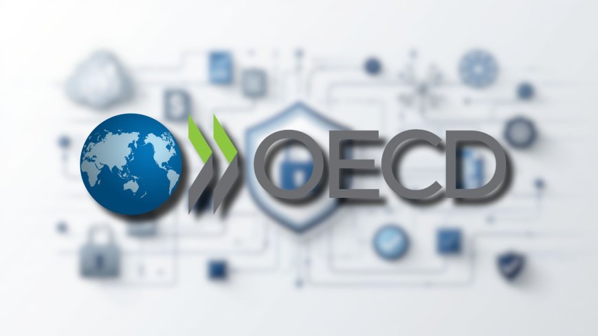 OECD warns on cybersecurity regulation fragmentation