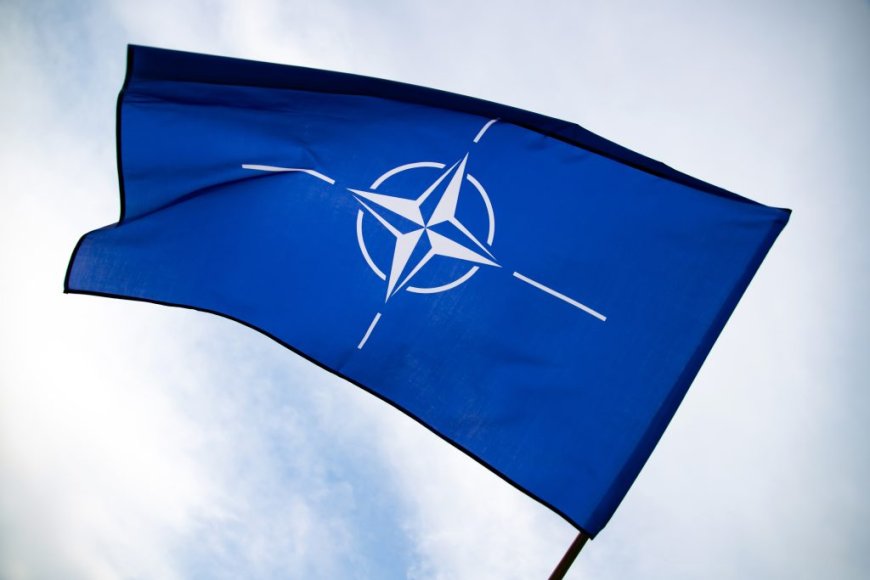 NATO formalises cyber partnerships with Microsoft, Palo Alto Networks and ESET