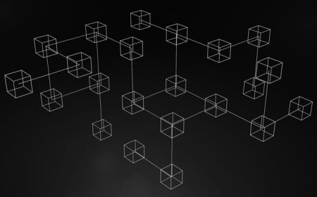 BGP Router ID structuring in IPv6 native networks