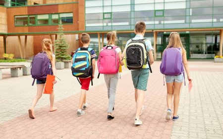 Norway restricts generative AI use in primary schools