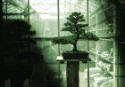 Meet Bonsai: The First 27B AI Model That Fits on Your Phone