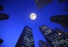 Moonshot AI IPO push follows Kimi, Alibaba AI releases that shook bitcoin