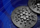 Cardano Triggers Hard Fork With First Community-Voted Upgrade