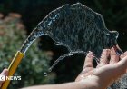 South East Water hosepipe ban to affect 2.4 million people