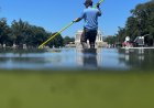 Grand Jury Skullduggery, Reflecting Pool Edition?