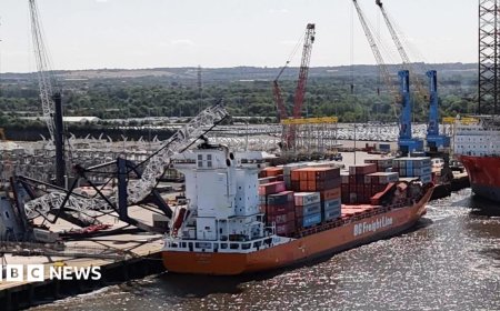 Man injured in dockside crane 'collapse'