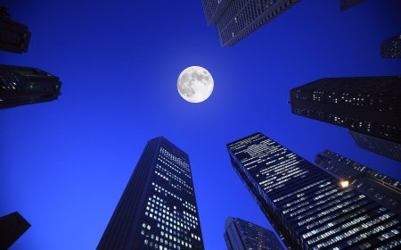 Moonshot AI IPO push follows Kimi, Alibaba AI releases that shook bitcoin