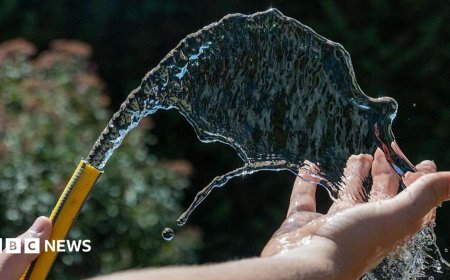 South East Water hosepipe ban to affect 2.4 million people
