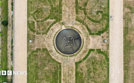 Parched grass reveals 'lost' 17th Century garden